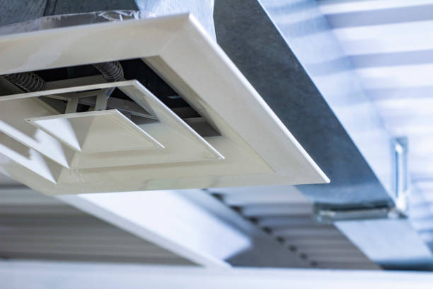 Air Duct Mold Removal in Draper, UT