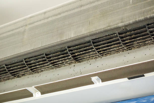 Best Home Air Vent Cleaning  in Draper, UT